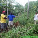 아남농장2 이미지