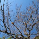 하늘뿌리한의원 이미지