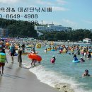 낙산낚시