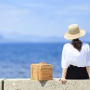 관광지순환버스(주) 노동조합 | 모두투어: 변화하는 여행 산업 속 기회와 전환