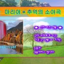 한국인 같은 마리아 추억의 소야곡(신이 주신 선물) 이미지