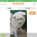 청산동물병원 이미지