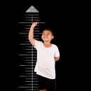 고려대 태권도 이미지