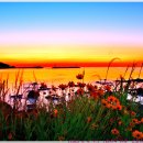 [2025. 6. 4. 수. 해.]-[유산소-휴식, 적산-0km, 17~26℃, 05:10~19:34] 이미지