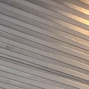 둔산성모정형외과의원 이미지