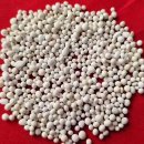 켄첸 빼마 마티 린포체의 성스러운 사리 이미지