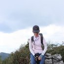 상상수목원 이미지