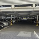 파프리카짐 이미지