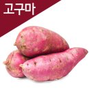 고구마 효능 이미지