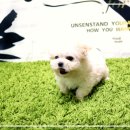 대한과학(성북) 이미지