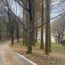 꿈꾸는농부오토캠핑장 이미지