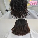 의정부녹양동물약국 | 반려동물 동반 가능한 편안한 분위기에 녹양동 미용실 오늘헤어