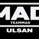 팀 매드 이미지