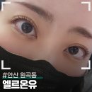 초지헤어라인 | 안산 원곡동 속눈썹펌 엘르온유