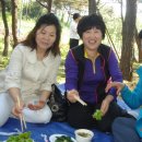 강서체육공원 이미지