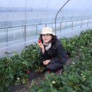 에덴팜스 이미지