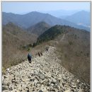 만대산 이미지