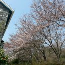 시현민박 이미지