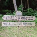소나무 흑염소 목장 네이버블로그