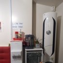 치골냉맥 이미지