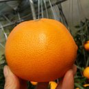 지윤농장 이미지