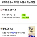 시드니스포츠 | 시드니 포트스테판 와이너리 투어 후기 예약