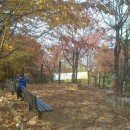 당곡고등학교 이미지