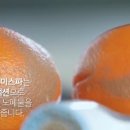 더 루미 이미지