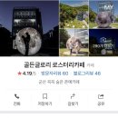 골든글로리 이미지