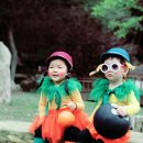 펌킨프린세스