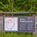 부평생태습지[부평-5] 이미지