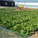 소모아농장 이미지