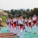 삼화 태권브이스쿨 이미지