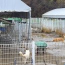 시온축산 이미지