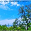 장은재가노인복지센터 네이버블로그