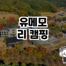 꿈의 숲, 유메모리 캠핑에서 특별한 하루를!
