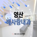 배사랑내과의원 이미지