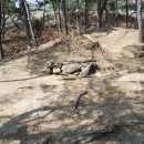 큰소망약국 이미지