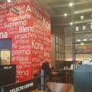 셀렉토 모현점 이미지