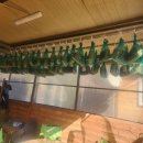 두메유기농원 이미지