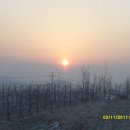 토종농장 이미지