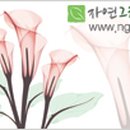 자연그린닷컴
