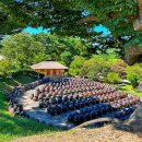 궐리사 | 논산 여행- 명재고택 배롱나무 /노성향교/노성궐리사