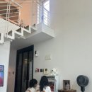 보나의언덕 이미지