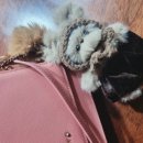 인형의 거리(토끼) 이미지