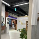 속초 대게] 승화네크랩보투 델피노점 내돈내산 솔직후기