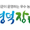 영덕농수산 이미지