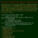 2024년 10월 Cranial Osteopathy Basic Course 안내 이미지