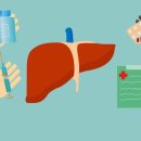 경화헬스 이미지