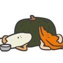 감주패밀리
